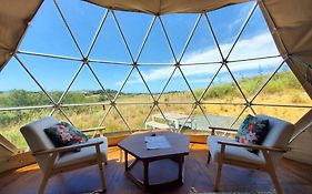 2 Waipu Eco Off-Grid Luxury Glamping Seaview Geodesic Dome